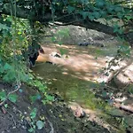 Romantikurlaub Im Weindorf