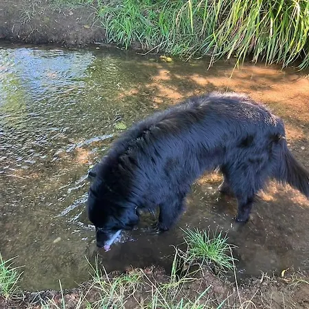Romantikurlaub Im Weindorf Apartament *