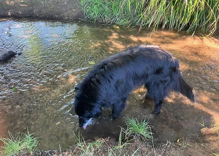Romantikurlaub Im Weindorf Lejlighed *